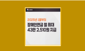 25년 장애인연금