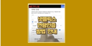 넷플릭스 연령인증