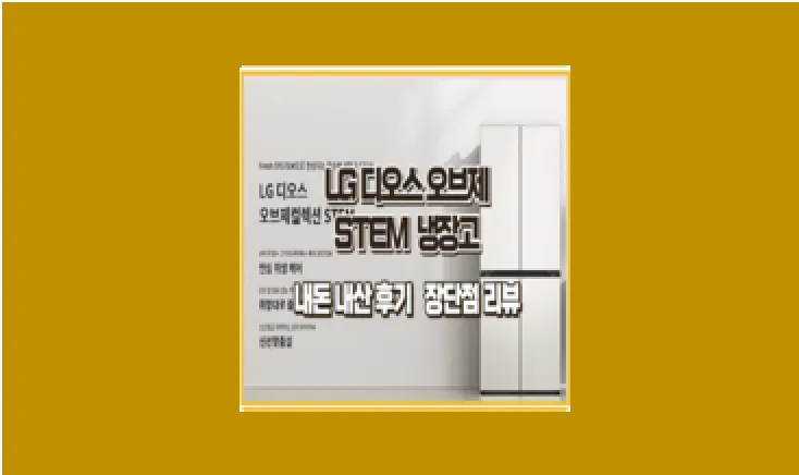 LG 디오스 STEM