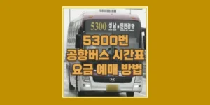 5300번 공항버스