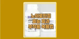 노이로민정 효능